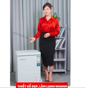 Tủ đông mi ni