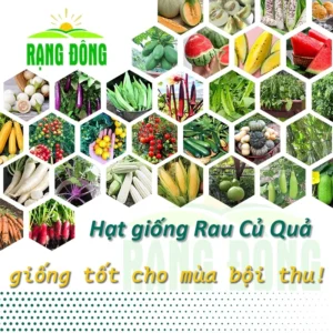 Hạt giống tốt cho mùa bội thu